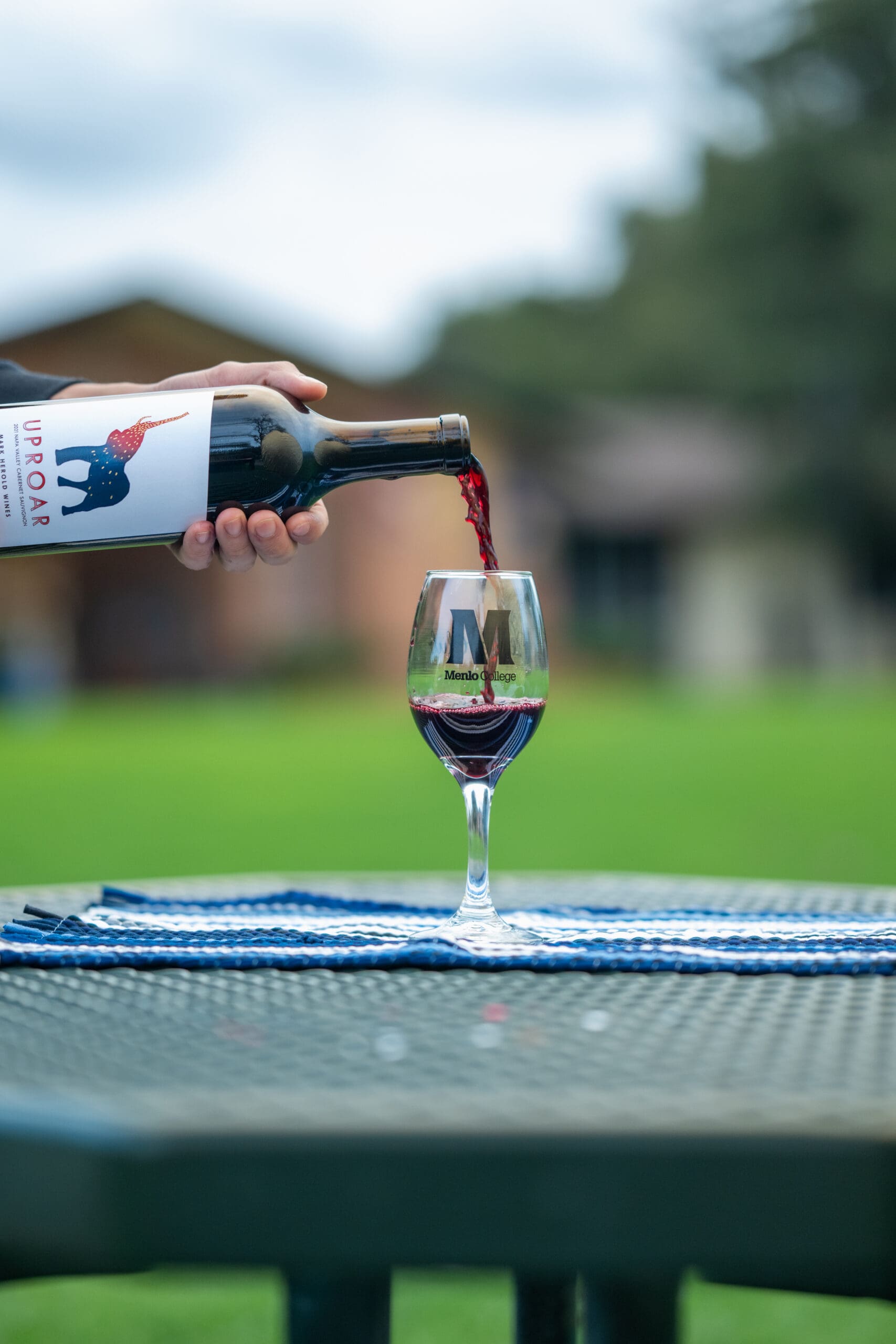 Art & Wine Festival 2026